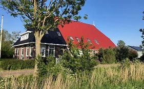 De Stjelp
